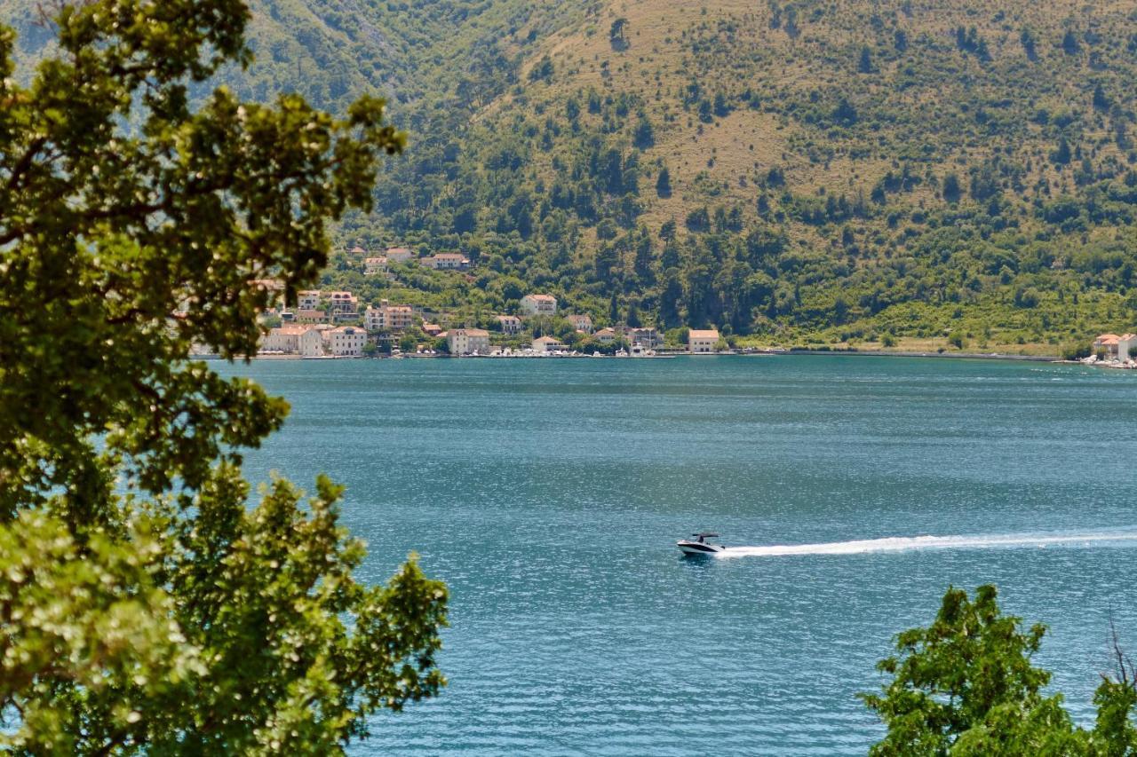 Iva'S Sea View Balcony Apartment Kotor Bagian luar foto
